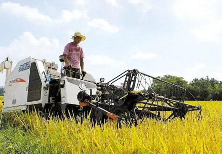 FH至尊注册集团开展“我为收割队伍送清凉”慰问活动